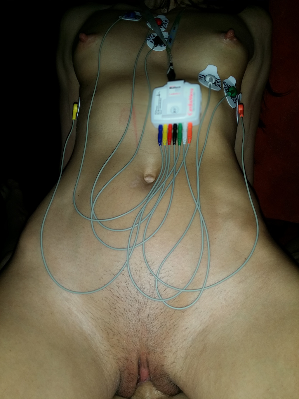 Holter sex this morning QS Personal BDSM Blog