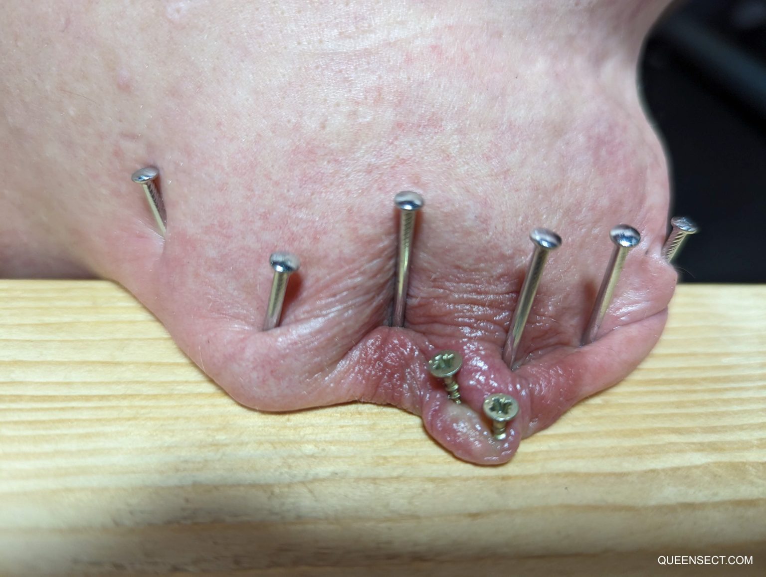 aftermath-photos-of-screwed-to-the-core-queensect-qs-personal